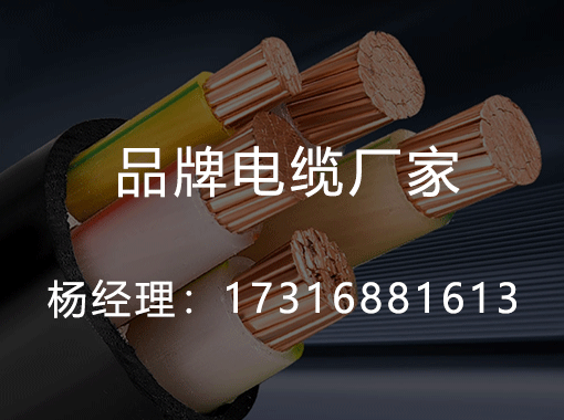 食品安全監管沒有最嚴格，只有更嚴格